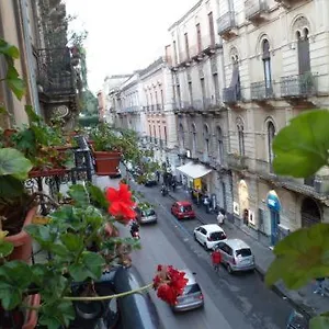 Gli Di Palazzo Umberto I , CTA Italia