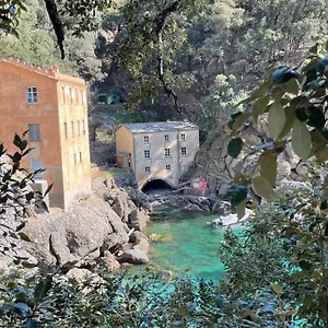 Casa Dell'arco Civico 35 , San Fruttuoso Italy